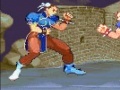 Hra Street Fighter World Warrior