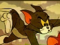 Hra Puzzle Mania Tom And Jerry