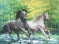Hra Fabulous running horses puzzle