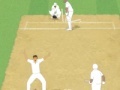 Hra Cricket Umpire Decision