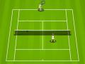 Tennis game. Tenis online hry