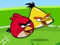 Angry Birds on-line. Hra Angry Birds Angry Birds on-line. Angry Birds hra