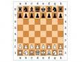 Hrať šach. Zahrajte si šach online bez registrácie